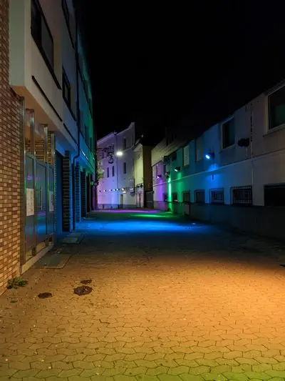 Galerieaufnahme 77